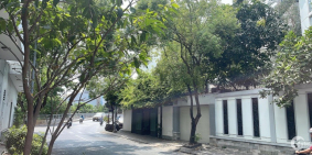 Biệt thự sân vườn, Quận 7, Gần Nguyễn Thị Thập, 4 Tầng, 194m2, Chỉ 39 Tỷ