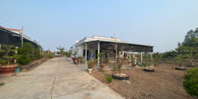 Chính chủ bán nhà vườn 2400m2, đầy đủ nội thất tặng vườn mai khổng lồ chỉ 3tỷ