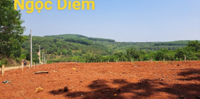 Chỉ cần thah toán 430tr có ngay lô đất kèm thổ - Sổ Sẳn-View Đà Lạt ngay Bù Đăng