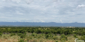 chủ kẹt tiền trả lãi ngân hàng bán ngộp đất biển bình thuận