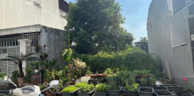 Cô Hồng bán gấp đất đường Trần Thị Ngôi, Phường 4, Quận 8. SHR, 80m2 giá 2.1 tỷ