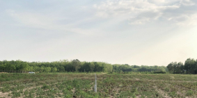 THỜI ĐIỂM VÀNG ĐỂ ĐẦU TƯ BẤT ĐỘNG SẢN GIÁ HỜI SẴN SỔ CHỈ 4XX TRIỆU