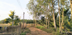 Bán 2 sào đất có sẵn vườn cây ăn trái tại đá bạc, h.châu đức, tỉnh brvt.