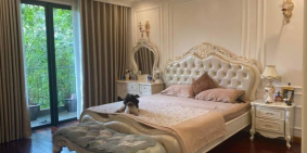 Chú Toàn bán Gấp biệt thự BT9 BT7 KĐT Văn Phú gần công viên 200m2 chỉ 20.99 tỷ.