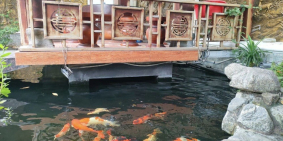 Giảm sâu, Bán biệt thự sân vườn, mặt tiền khu Tân Thới Hiệp - Hướng Đông Tứ