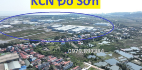 125m2 mặt đường Chợ  Đồng Nẻo , Minh Đức , Đồ Sơn 31tr