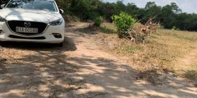 Đât Sào Đối Diện Khu Công Nghiệp