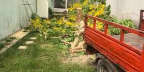 Đất ngay đường Huỳnh Thị Mài, Tân Hiệp, Hóc Môn, SHR, 92m2, 575tr