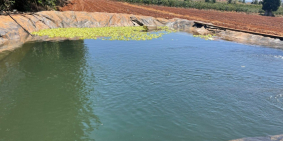 Đất giá mềm gần SamTen Hill-Tutra-Đơn Dương Lâm Đồng