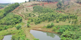 Đất nghỉ dưỡng 1000m² chỉ 450tr, sổ sẵn