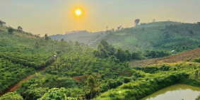 Bán gấp miếng đất xào View suối đẹp giá chưa tơis 550tr- Sổ sẳn- Bao sang tên -