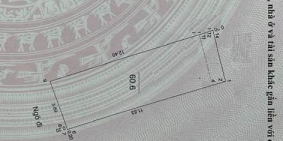 Bán nhà Đống Đa - Phân lô ô tô tránh, vỉa hè 3m kinh doanh siêu đỉnh.