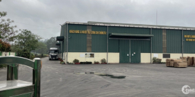 CHO THUÊ KHO, XƯỞNG TẠI THIỆN KẾ. BÌNH XUYÊN. VĨNH PHÚC