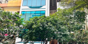 Bán Nhà Nguyễn Phong Sắc Cầu Giấy, 11.3tỷ 40m Mt 6.6m, Thang Máy Oto Vỉa Hè