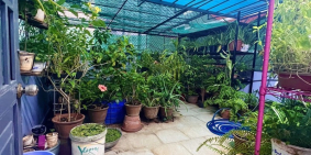 Nhà Bán Phú Thọ Hòa, Quận Tân Phú, Giá Ngộp, Vừa Giảm Thẳng 700 Triệu.