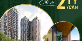 Elysian chiết khấu 8% ngày mở bán, 5% ký HĐMB