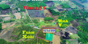 Mở bán 5 lô sổ hồng công chứng ở Ninh Xuân chỉ 268tr 1 lô