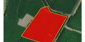 Bán đất 3,2 ha Sung Nhơn Đức Linh Bình Thuận Giá 6 tỷ