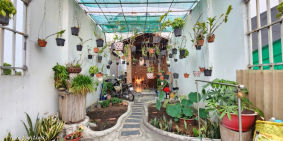 Kẹt cứng ngắt Chủ cần bán Nhà vườn 72m2 - 2 ty 2 giảm còn 1.650 triệu