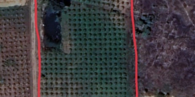 Đất chính chủ SHR hơn 1000 trụ thanh long 2ty5 ô tô vô thoải mái kế bên cao tốc