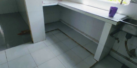 Cho thuê nhà nguyên căn 2,5tr/tháng gần Chợ Nhị Bình