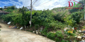 Bán đất 1549M2 Hoàng Hoa Thám Đà Lạt view thung thũng CỰC ĐẸP GIÁ 19TR/M2