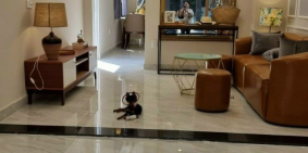 Nhà xinh Quang Trung, P8, Gò Vấp, 3.5x12m, 1T 1L, 2PN 2WC = 3.65 tỷ