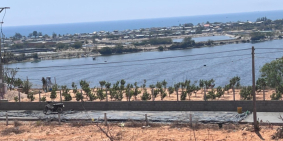 Đất sổ hồng sẵn, cách đường ven biển DT701 100m, Thuận Nam