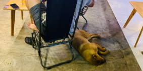 CẦN SANG QUÁN CÀ PHÊ _  LÔ  GÓC 2 MẶT TIỀN _ DT 200M2 _ GIÁ SANG 250 TRIỆU.