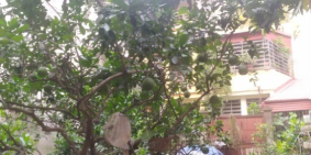 Bán lô đất 100m Phú Diễn - ngay giáp trường ĐH Tài Nguyên Môi Trường