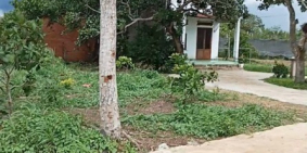 Bán đất Bình Phước 190tr/nền, giá rẻ bất ngờ so với thị trường