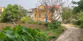 654m2 đất ở Phù Cừ, Hưng Yên, sổ đỏ đầy đủ, giá nhỉnh 1 tỉ