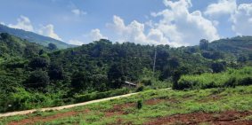 Đất Đà Lạt giá tốt sổ hồng riêng sang tên công chứng ngay