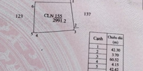 Đất ngắm toàn cảnh thành phố Gia Nghĩa - giá cực rẻ chỉ 450tr cho 3000m2