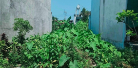 Bán đất lô đất TPTDM đường 4m, Mặt tiền Gần Chợ Gần trường học, Cắt lổ 200 triệu