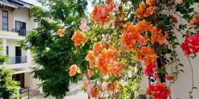 Căn nhà liền kề với diện tích 75m2 trong khu đô thị Belhomes  hướng Đông- Nam