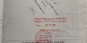 Đất Rộng Mặt tiền Kinh Doanh Rẻ Lê Thị Trung, Thuận An, Bình Dương