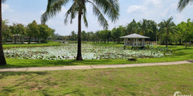 Bán biệt thự liên kế Park Riverside – MIK Bưng Ông Thoàn, Phú Hữu, Q9.