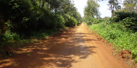 2,2ha giá chỉ 800tr, ngộp bank lắm rồi bà con ơi, tại xã Nâm N'Jang Đắk Song Đắk