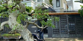 SIÊU PHẨM - BIỆT THỰ SÂN VƯỜN 130M2 - 3 TẦNG BTCT, Giá 7.9 tỷ.