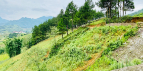 Đất nền Sapa,mặt đường quốc lộ 4D view thung lũng cực đẹp phù hợp làm nghỉ dưỡng