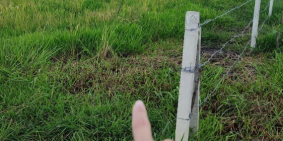 980tr chốt lô đất vườn ngay QL22 chợ Phước Thạnh, Củ Chi, giá ngộp cần bán gấp