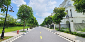 Biệt thự song lập view vườn hoa cực đẹp - Giá tốt nhất Vinhomes Ocean Park