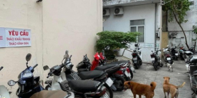 Chủ Ngộp Bán Nhà MT 600m2, 60 tỷ, Quốc Lộ 13, Bình Thạnh