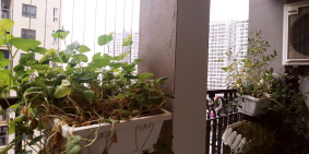 Bán căn hộ 2PN 86m2 chung cư Sunshine Palace cạnh Times City