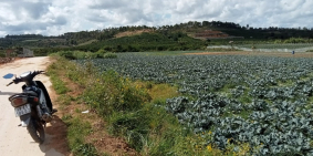 chủ ngộp cần bán gấp mảnh đất tâm huyết