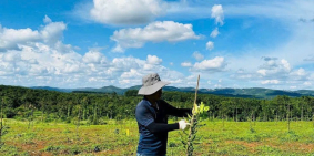 Bán vườn mắc ca sẵn sổ, cách Ql14 đúng 5,8km, giá 245 triệu hơn 1 sào