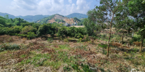 Chính chủ bán 3.300m2 đất ở tuyệt đẹp tại TP Hòa Bình, sang tên luôn