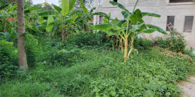 70m2 thổ cư đẹp Vân nội ô tô tải siêu đẹp