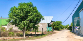 BÁN LÔ GÓC MẶT TIỀN CỤM CN LA HÀ NGAY CỔNG CÔNG TY KCN GIÁ RẺ